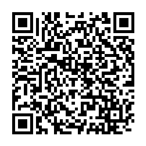 将空间戒指当中的真正玛瑙等珍稀物品倒到会议室当中的桌子之上道二维码生成