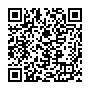将端木神君的领域和所有修士的法术攻击都挡在宏景山外二维码生成