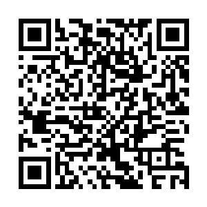将背上的凌雅小心的放到了模样奇怪的木头打造的框子里面二维码生成