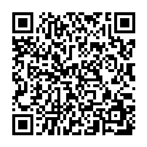 将许德拉安排好之后龙傲天看了看周围由于许德拉渡劫而产生的满目疮痍的景象二维码生成