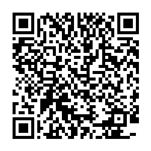 将谢文东等人离开文东会据点的消息传给了韩非和另一边的沈君瑜等人二维码生成