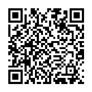 将身形在东方修仙界和中原修仙界的交界处降落了下来二维码生成