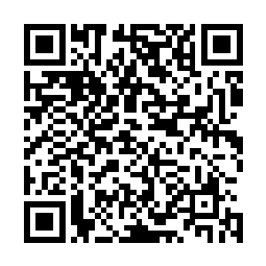 将这个企图利用长尾和长舌同时发起攻击的家伙震飞了出去二维码生成