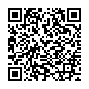 将这个博得雷圣和其他水域修士好感的机会再一次留给了张潇晗二维码生成