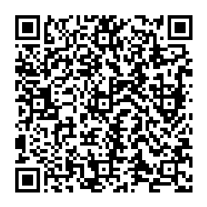 将这书信送到老种相公处…………只怕他们也早就盼着我这封书信了罢…………说不得要委屈老种相公他们了二维码生成