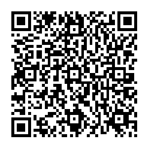 将那两块大型残骸和大量的小块残骸全都转移到了在后方辅助攻击的禽皇和金乌九子面前二维码生成