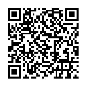 将那个冒牌的沈先生给打击的不成样子的鬼医青姑娘二维码生成