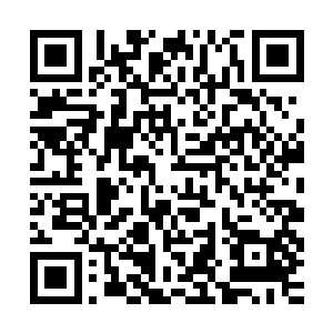 小丑杰客瞟了一眼牛头怪扔在自己脚下的已经看不出模样的头颅二维码生成