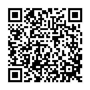 小主你的回答再次验证了事实和想象不能混为一谈这句至理名言二维码生成