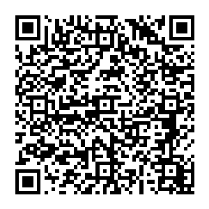 小兄弟 你说你会阵道之术 那你可否能够看出这处封印属于什么 加固封印需要什么 你尽管告诉我 二维码生成