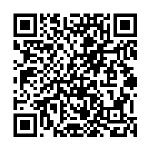 小加藤君说端木森也只是在刚才的排查现场第一次见到我二维码生成