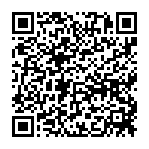 小唐尼会用摩根的私人飞机把药品和特种弹药之类的送到塞浦路斯二维码生成