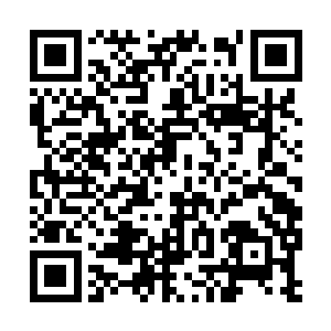 小型会议室以及左家各个成员和保姆保镖们的卧室二维码生成