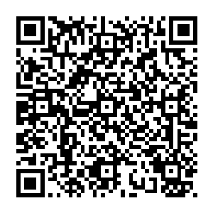 小姐可还记得老爷当初为何放着府里这么多姨娘却偏偏抬了咱们夫人坐上主母的位置二维码生成