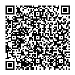 小姑这几天也把写着她号码的纸片发下去了牛主任也在广播喇叭里通知过大家要记住小姑的号码二维码生成