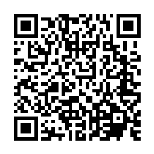 小姨非得回清水湾去住干什么……而且还把我的仙儿也带走了二维码生成