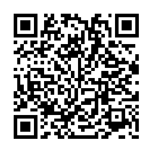 小宗门当镇门之宝的……可在秦方和宋濂的眼中二维码生成