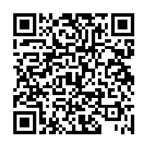 小宝见状忙挣扎着爬下乳母的怀抱去帮弟弟推婶娘二维码生成