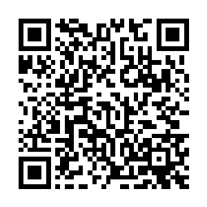小家伙终于发现肚子咕咕叫得声音不只是从他肚子里传来的了二维码生成