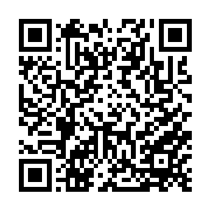 小小的福豆几句话竟是说的长宁公主和永宁公主无言以对二维码生成