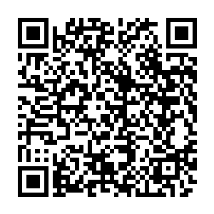 小心翼翼的注视着周围的动向……银盾杀手沃尔特可不是什么好对付的敌人二维码生成