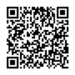 小心翼翼的给念深擦拭额头上又已经细细密布的汗珠二维码生成