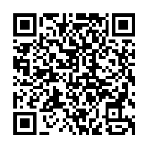 小惠和年欣然再一次确认包间里所有的东西没有没有丝毫问题二维码生成