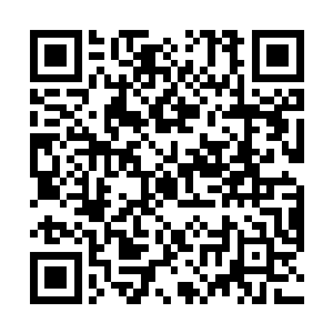 小护士把重症监护室的窗户和病房门上的玻璃都贴完了二维码生成