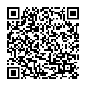 小明和文文控制的战斗傀儡还有微型无人机大军急忙填补他们之间的缝隙二维码生成