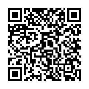 小林子里面稀稀拉拉地种着几十棵北方最常见的杨树二维码生成