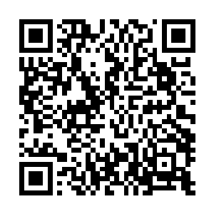 小熊他们整天和皇族还有魔教中人周旋只怕是受了很多委屈二维码生成