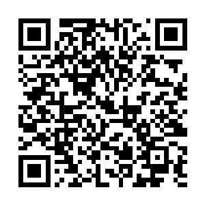 小熊早就从母亲怀里滑下去冲上去和小宝凑在一起了二维码生成