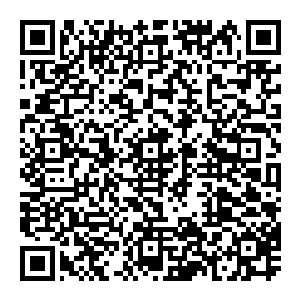 小男孩儿露出了一个和他年纪完全不符的表情他皱了皱眉头然后咬了一下牙弯腰将双手撑在了地上然后颤颤巍巍的站了起二维码生成