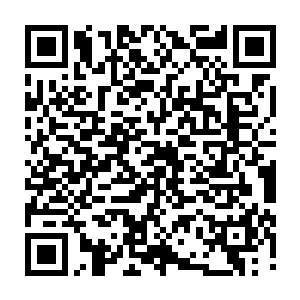 小白狗你倒是从硫喷妥钠的麻醉中清醒过来掀翻手术台把研究员给放了血啊二维码生成