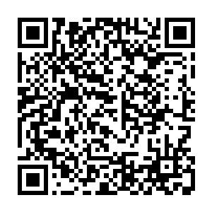 小禅蛇们看了看在两端已经抬脚准备走过来的羽氏三姐妹和沙罗獭三兄弟二维码生成