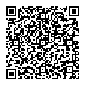 小竹　你知道吗　我已经成长到能够轻易击杀金丹大能的程度了　我马上就会來将你唤醒　小竹……二维码生成