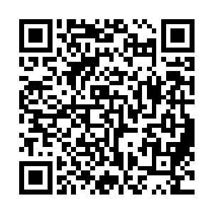 小紫说金符文珠是一位符文圣帝用特殊的材质制作而成的二维码生成