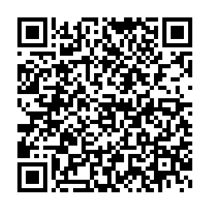 小红一边眯着眼看着不远处正在修建的庞大龙城和天空中无数的巨龙二维码生成