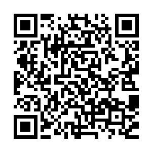小红什么都做不了……也什么都不是……什么……都不是……二维码生成