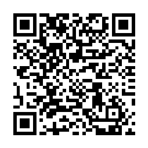 小红他们却是站在原地一动不动好像没有听到我的话一样二维码生成