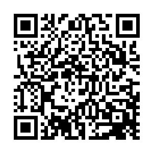 小胖子我告诉你啊别看你现在的瞬息移动仅仅是最低的一级二维码生成