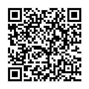 小胖是绝对绝对绝对不会和这种讨厌的病毒发生任何纠缠的二维码生成