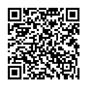 小舞的母亲就仿佛淹水的人看到了最后一根救命稻草似得二维码生成