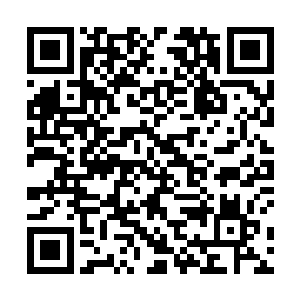 小草隐隐感觉到现在的少爷和之前的少爷完全不一样了二维码生成