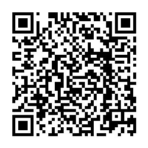 小薇的眼睛定定在看着果实里的两个人影－－白小飞和小惠依然手牵着手二维码生成