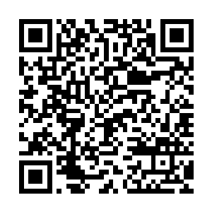 小血妖临死前的挣扎和惨叫令他们头皮发麻浑身不由自主打冷颤二维码生成