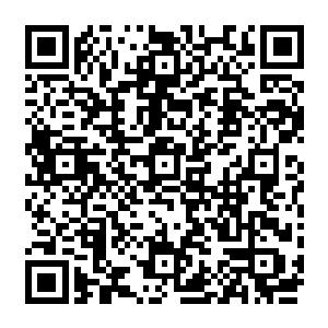 小部分经纪人会保持理智地选择继续打磨演技――毕竟雨果拿到的只是奥斯卡最佳男配角二维码生成