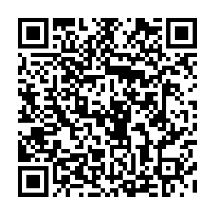 小镜他们从没放弃过寻找我的下落……你知道当小镜以医生身份出现在我面前二维码生成