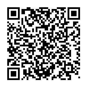 小飞花从顾依依这个小丫头这里得到的信息没有一件是积极向上的二维码生成