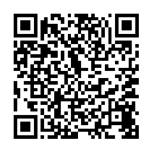 小骨……小伙伴们回来了哦~不过他们已经走上不同的道路了二维码生成